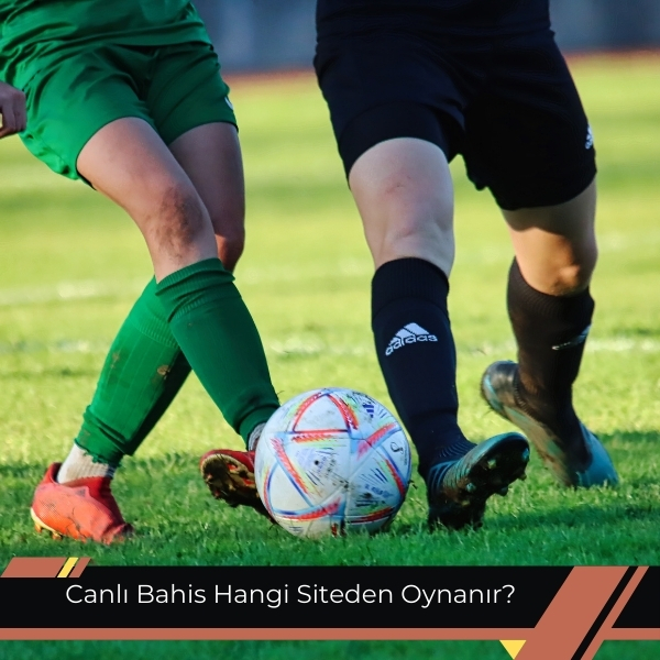 Canlı Bahis Hangi Siteden Oynanır