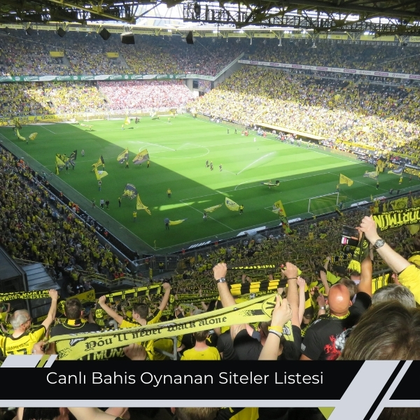 Canlı Bahis Oynanan Siteler Listesi
